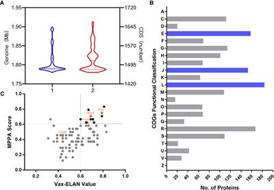 Comparative evaluation of protective immunity against Francisella tularensis induced by subunit or adenovirus-vectored vaccines